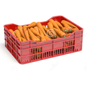 Zanahoria en caja de plástico